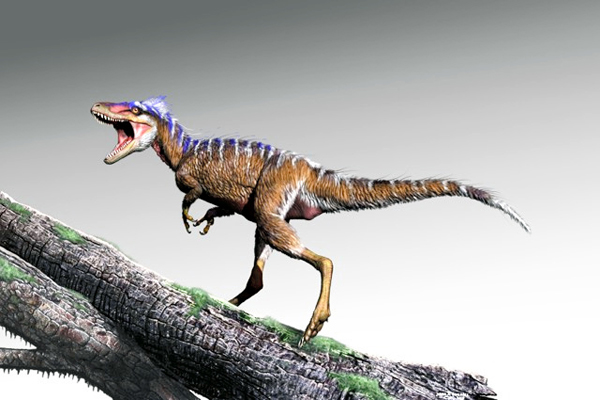 اكتشاف قريب للتيرانوصور في أميركا الشمالية