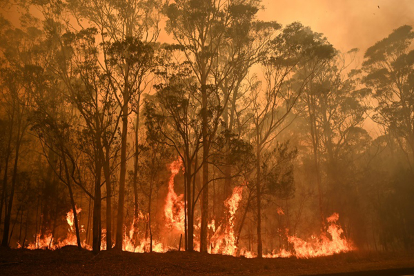  ثلاثة من كل أربعة أشخاص تأثروا بحرائق الغابات المدمرة في أستراليا