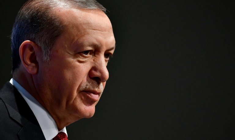 إردوغان يؤكّد وجود مقاتلين سوريين موالين لتركيا في ليبيا