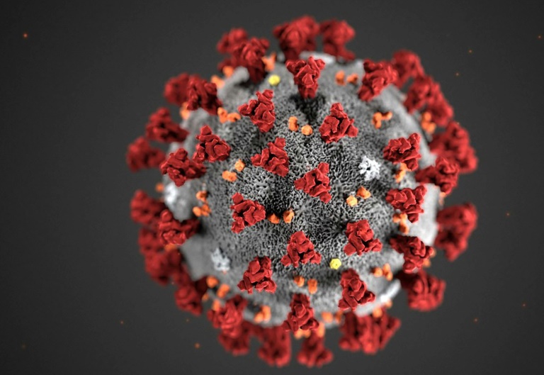 رسم لفيروس كورونا المستجدّ المسبّب لمرض كوفيد-19 في صورة وزّعها المركز الأميركي للسيطرة على الأمراض والوقاية منها