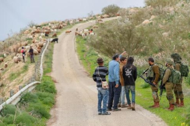 نشطاء إسرائيليون يكافحون من أجل إبقاء غور الأردن بيد الفلسطينيين