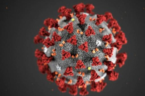 رسم لفيروس كورونا المستجدّ المسبّب لمرض كوفيد-19 في صورة وزّعها المركز الأميركي للسيطرة على الأمراض والوقاية منها في 3 فبراير 2020