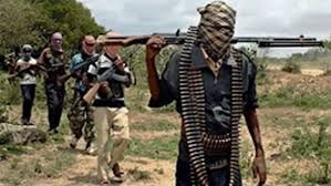 مقتل سبعة مدنيين على أيدي انتحاريين من بوكوحرام في الكاميرون