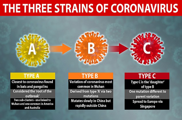 المراحل الثلاث لتطور فيروس كورونا 