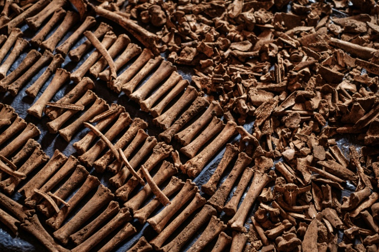 صورة التقطت بتاريخ 9 نيسان/أبريل 2019 تظهر عظام ضحايا عثر عليها حفر كانت مقبرة جماعية خلال الإبادة الجماعية في رواندا سنة 1994