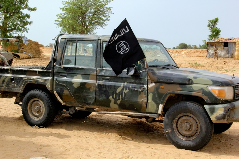 مقتل 12 جندياً في جنوب شرق النيجر في هجوم لبوكو حرام
