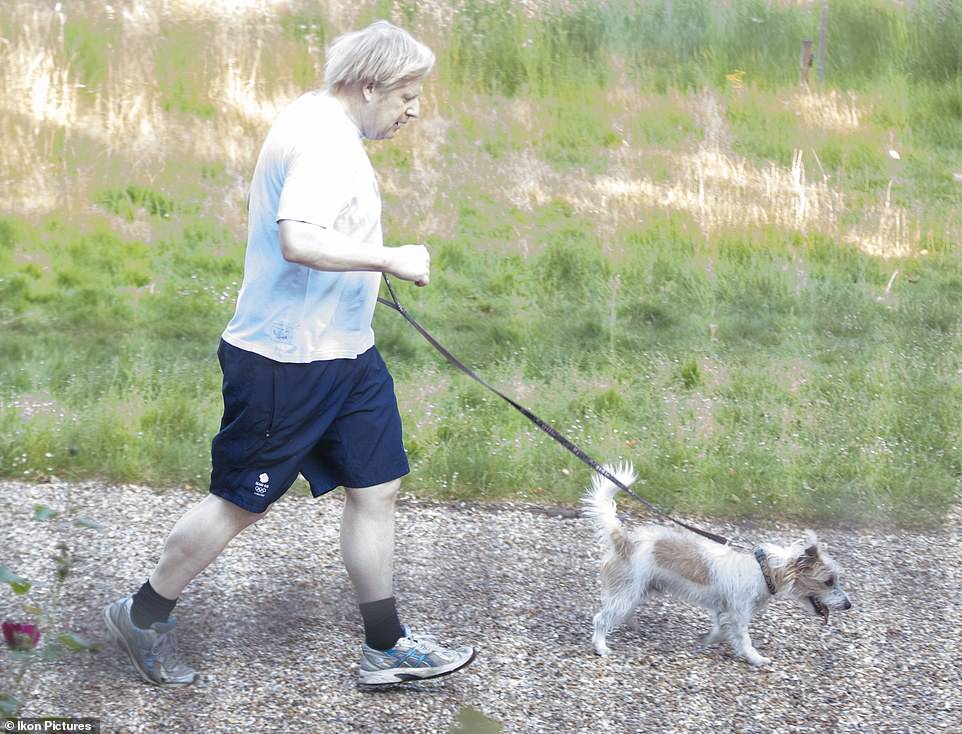 صورة تناقلتها وسائل الاعلام البريطانية لجونسون يسير مع كلبه قرب مقر الحكومة