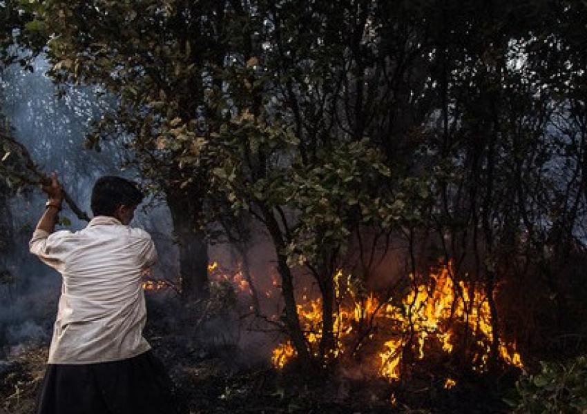 الحرائق تقضي على 500 هكتار من الغابات الإيرانية