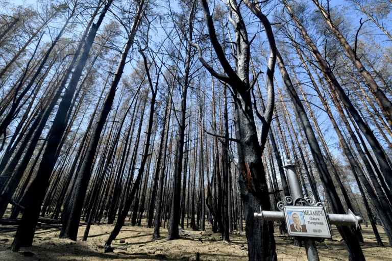 اشجار محترقة في مقبرة تقع ضمن منطقة تشرنوبيل المحظورة، 11 حزيران/يونيو 2020