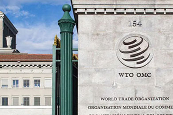 قرار منظمة التجارة العالمية صوت دولي ضد قطر