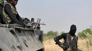 مسلحون يقتلون 15 مزارعًا في شمال شرق نيجيريا