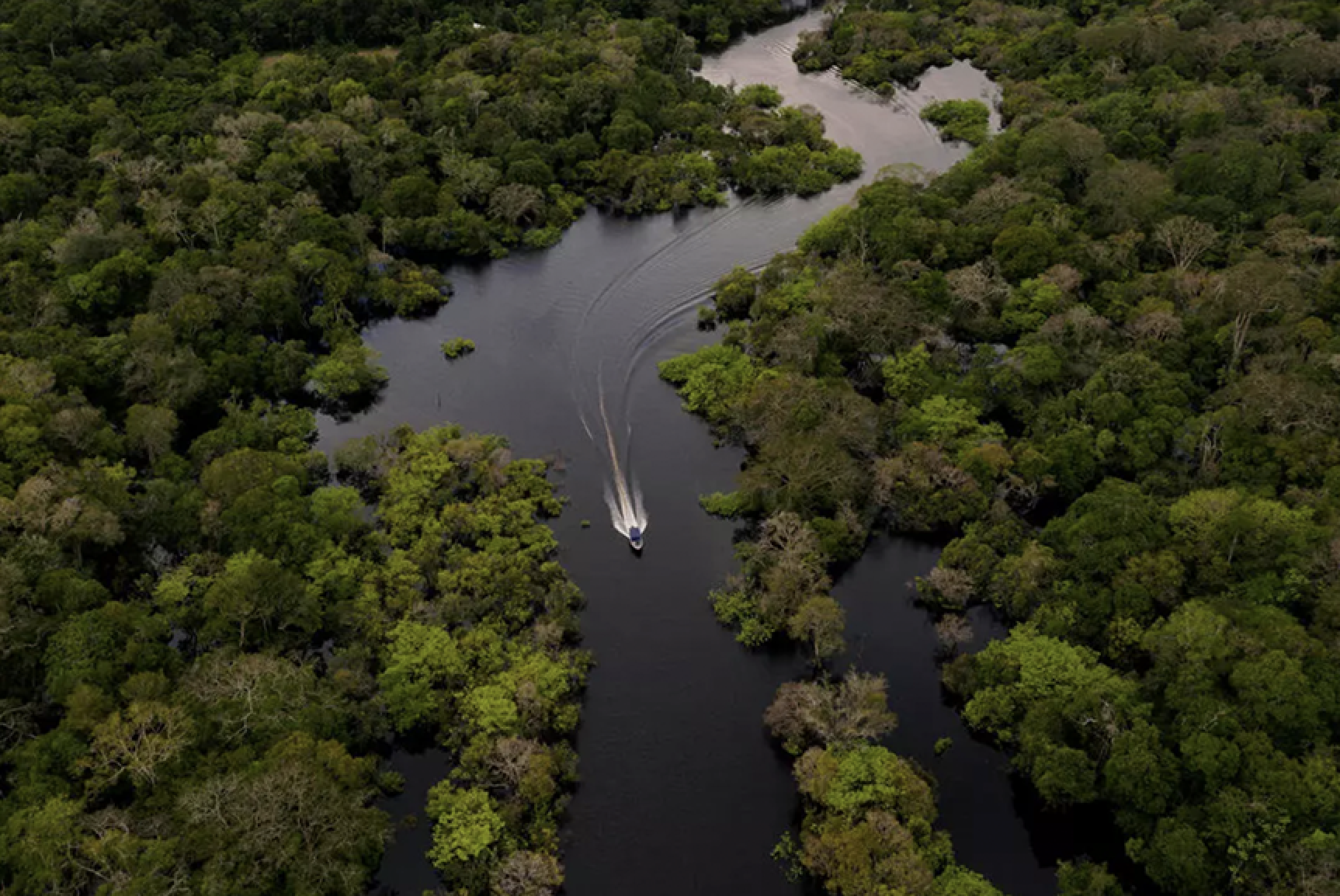 سفينة صغيرة في منطقة كاراوري عند نهر جوروا أحد متفرعات الأمازون في البرازيل