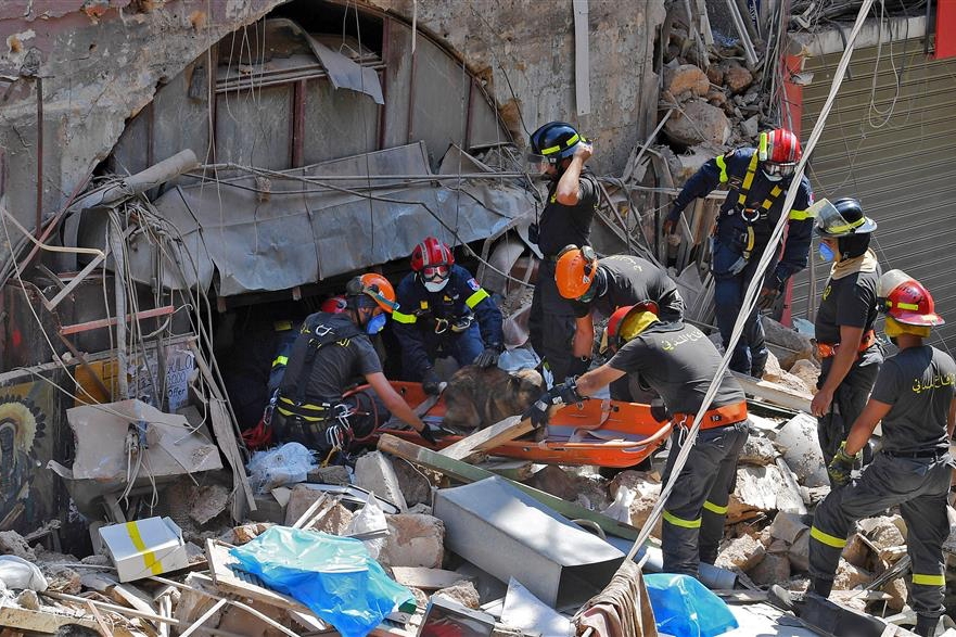 فرق الدفاع المدني تستعين بالكلاب للبحث عن مفقودين بين أنقاض انفجار بيروت