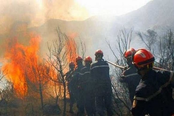  الرئيس الجزائري يأمر بفتح تحقيق حول تزايد الحرائق