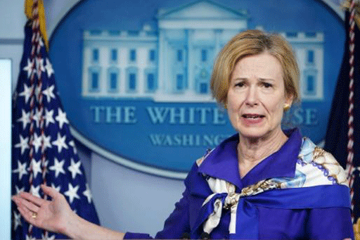 مستشارة البيت الأبيض بشأن فيروس كورونا المستجد ديبورا بيركس في صورة التقطت في 22 مايو 2020