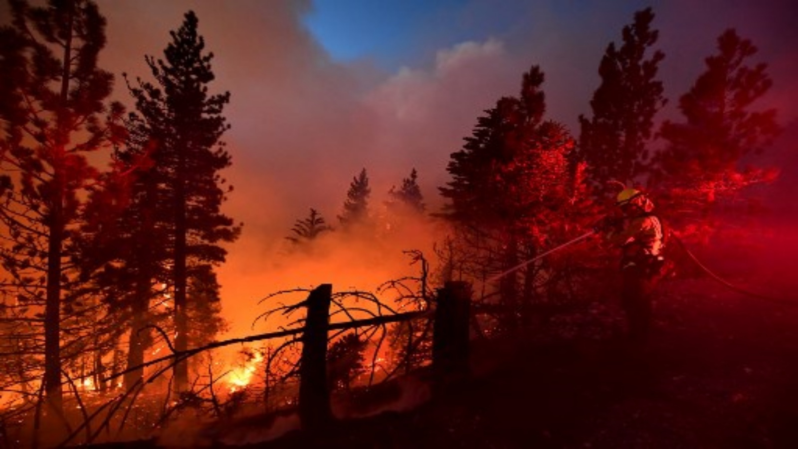 رجال الإطفاء يعملون في حريق بالقرب من سيدار سبرينغز في غابة أنجيليس الوطنية في 21 سبتمبر 2020 في لوس أنجلوس ، كاليفورنيا