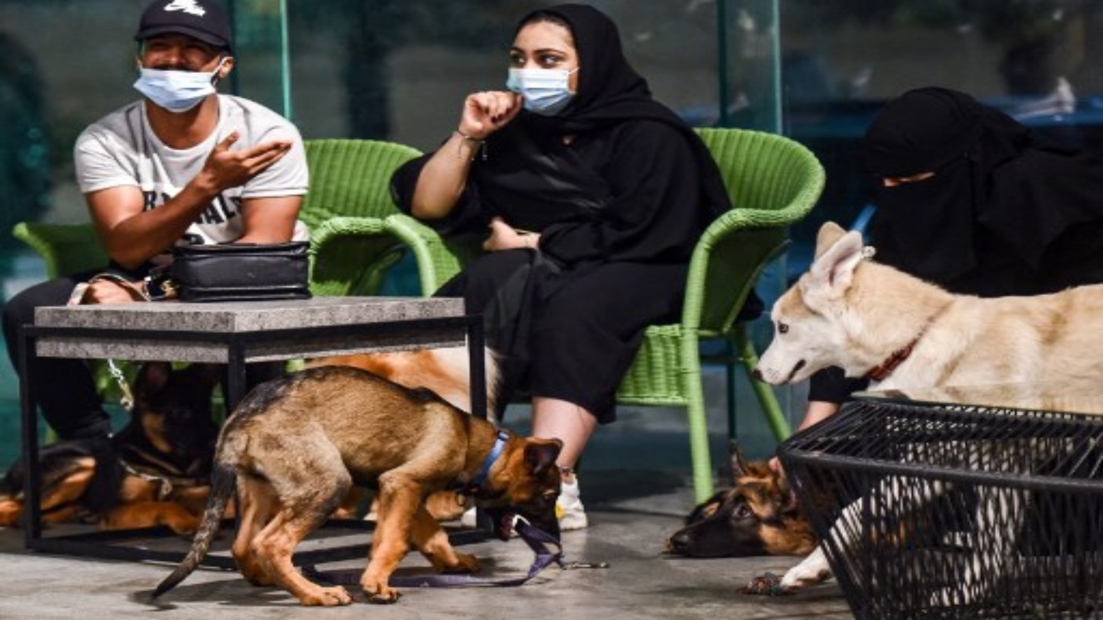 رعاة يرتدون أقنعة (أصحاتب كلاب يجلسون مع كلابهم في مقهى 