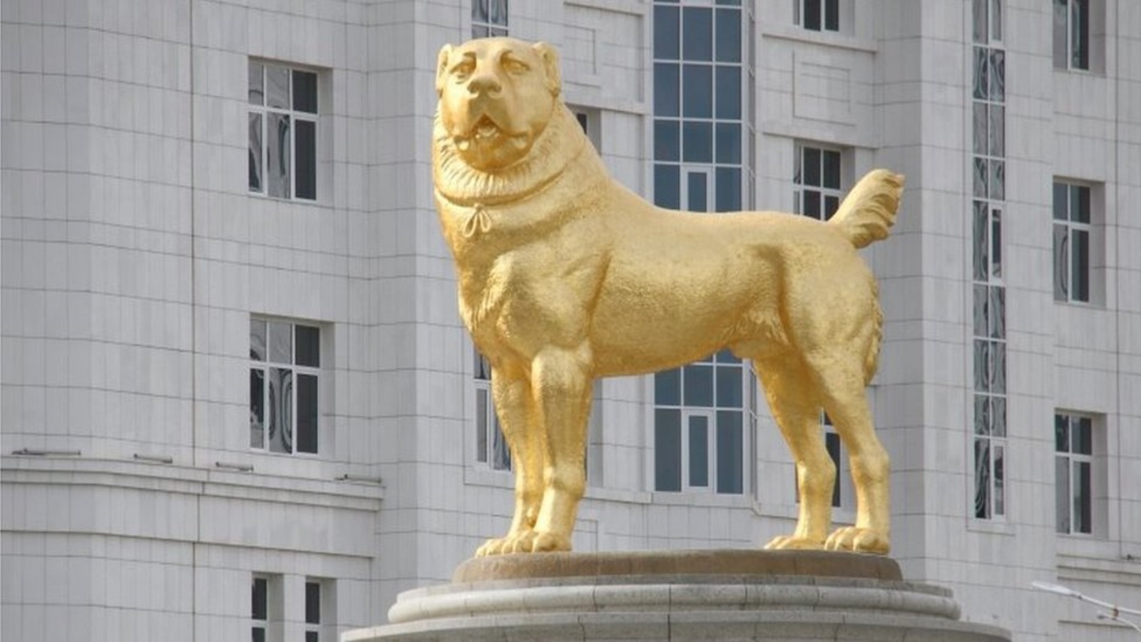 زعيم تركمانستان يكرم سلالة الكلاب المفضلة لديه بتمثال ذهبي عملاق
