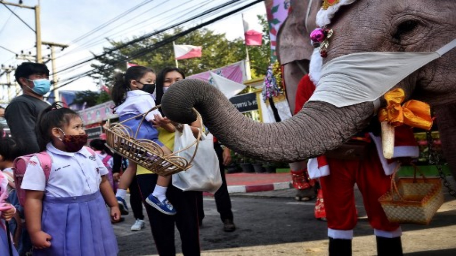 فيلة بزي سانتا كلوز توزع الكمامات في مدرسة تايلاندية