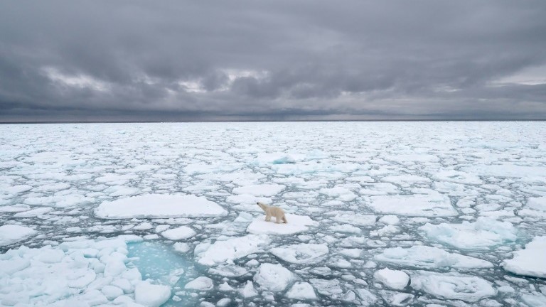 صورة مؤرخة في 2018 وزعتها الجمعية الدولية للدببة القطبية في 17 ديسمبر الجاري تظهر دبا قطبيا في النروج