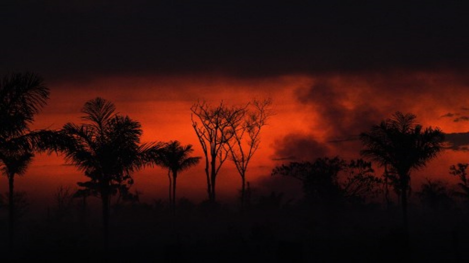 في هذه الصورة التي تم التقاطها في 11 أغسطس 2020 ، يتصاعد الدخان من حريق غير قانوني في محمية غابات الأمازون المطيرة ، شمال سينوب في ولاية ماتو جروسو ، البرازيل. ارتفع عدد حرائق الغابات في البرازيل بنسبة 12.7٪ في عام 2020 إلى أعلى مستوى له منذ عقد