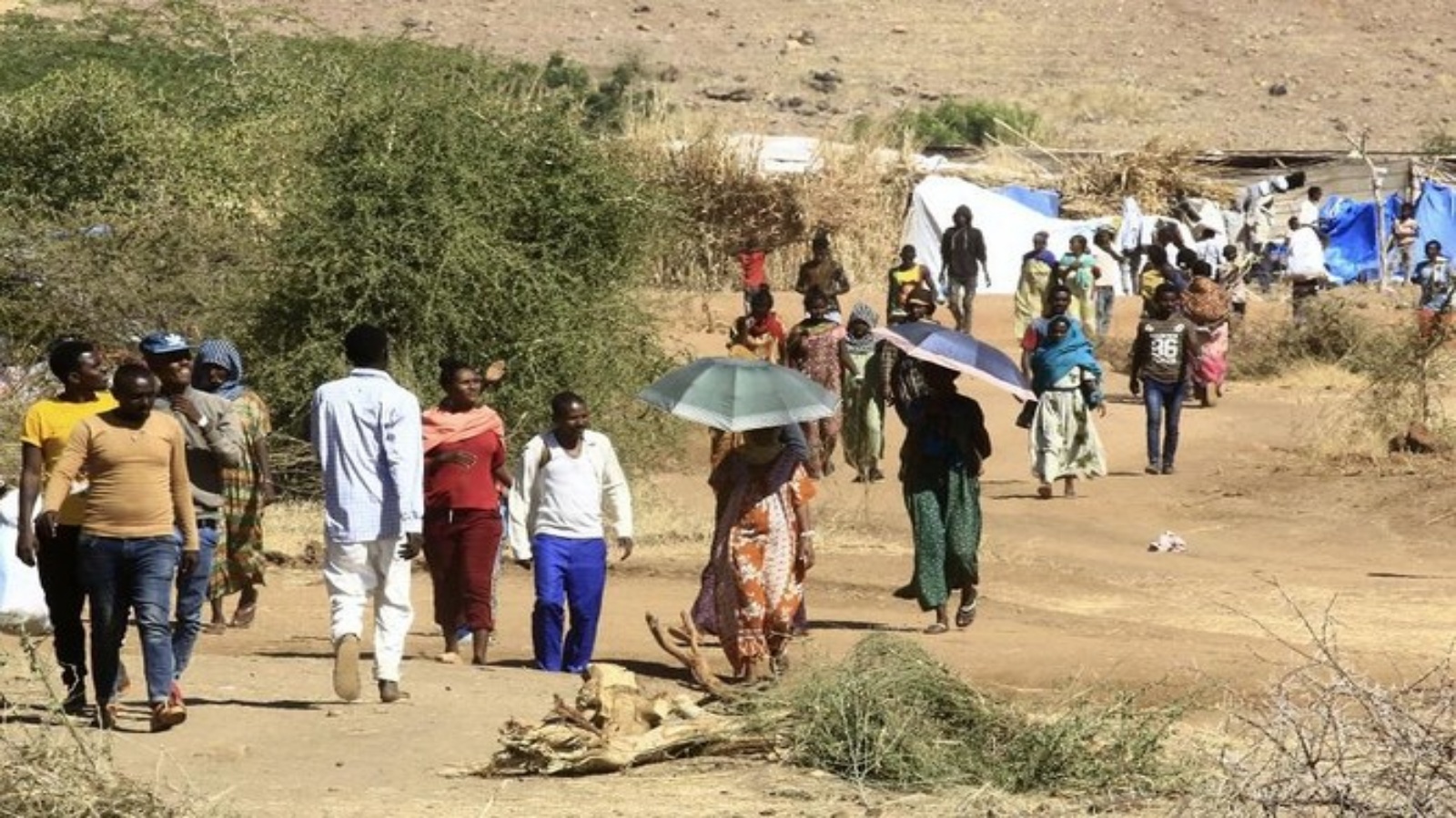 أزمة تيغراي في اثيوبيا مستمرة بعيدا عن الأنظار