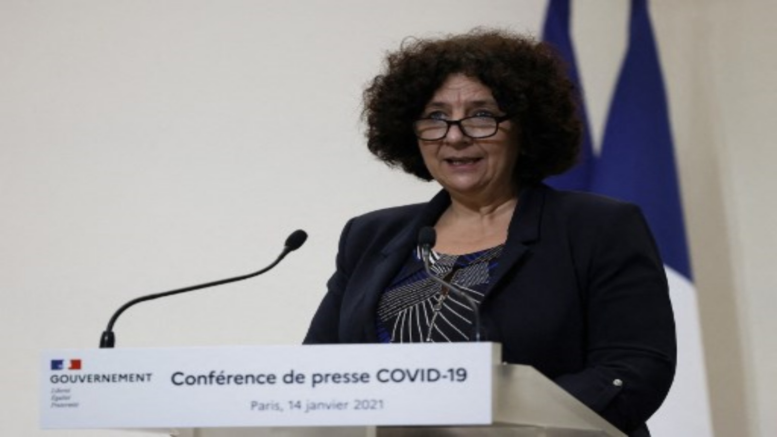  وزيرة التعليم العالي والبحث والابتكار الفرنسي فريدريك فيدال خلال مؤتمر صحفي في باريس 