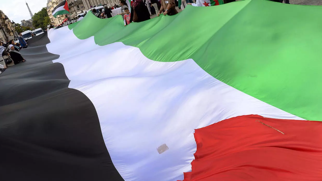 علم فلسطيني رفع خلال تظاهرة في باريس في 2014