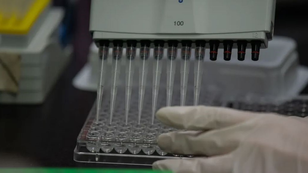 أداة مخبرية مستخدمة في البحث المجهري للخلايا البشرية