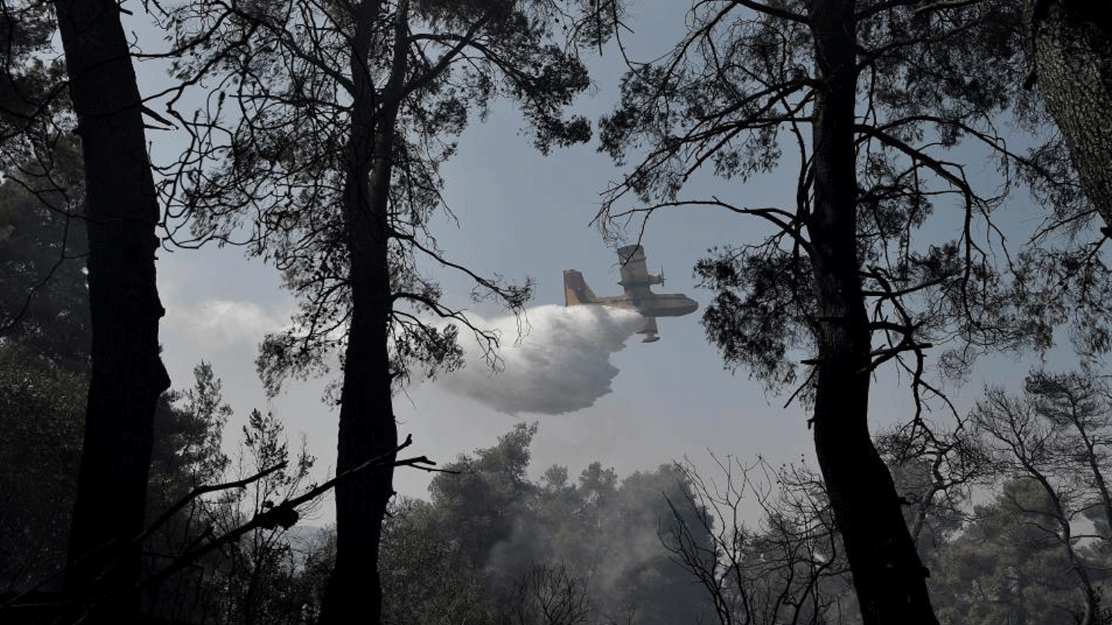 طائرة تضخ المياه فوق حريق في غابة في اليونان. بتاريخ 31 تموز/ يوليو 2021