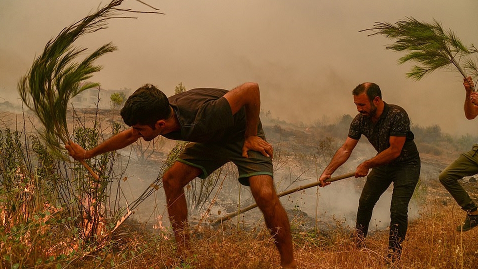 سكان يستخدمون الفروع لمحاولة إخماد حرائق الغابات المستعرة بالقرب من بلدة مانافجات، جنوب تركيا.