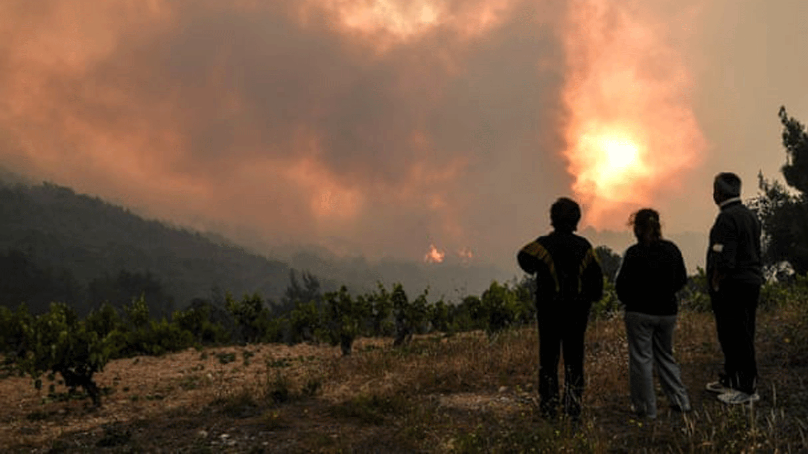 السكان المحليون بالقرب من قرية Pefkaneas، غرب أثينا، ينظرون إلى حرائق الغابات في جبال جيرانيا