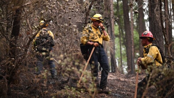رجال الإطفاء في استراحة بعد قيامهم بإطفاء النار، بالقرب من أكواخ جبلية ريفية، على تل في تواين، كاليفورنيا. بتاريخ 26 تموز/ يوليو 2021
