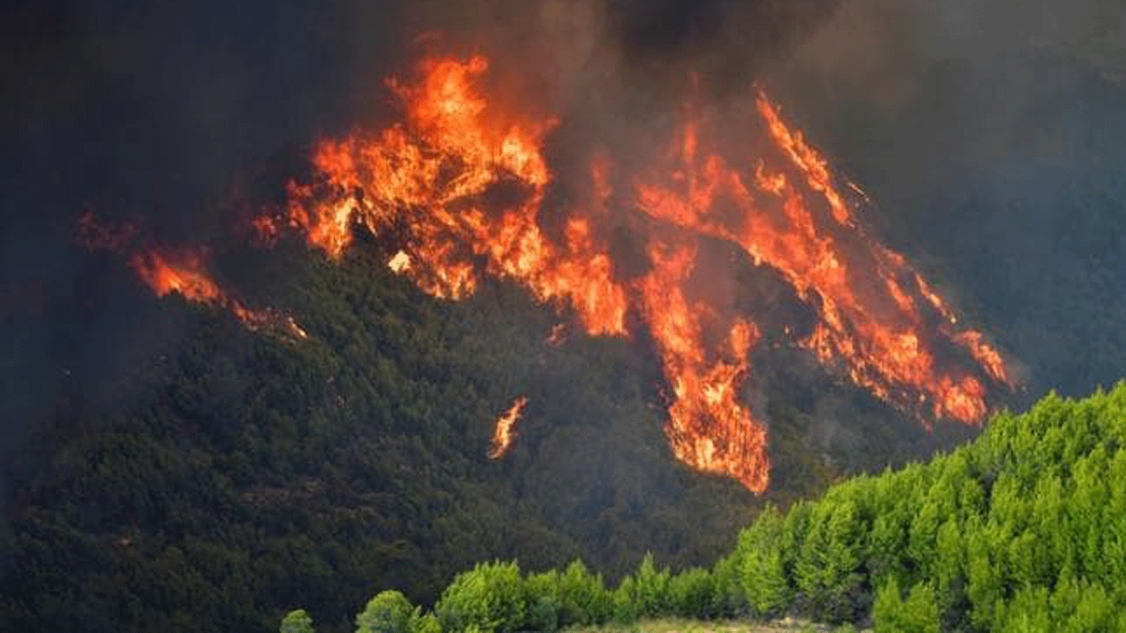 ألسنة اللهب تجتاح الغابة عند جبل بالقرب من قرية بلاتانوس القريبة من أولمبيا القديمة في غرب اليونان