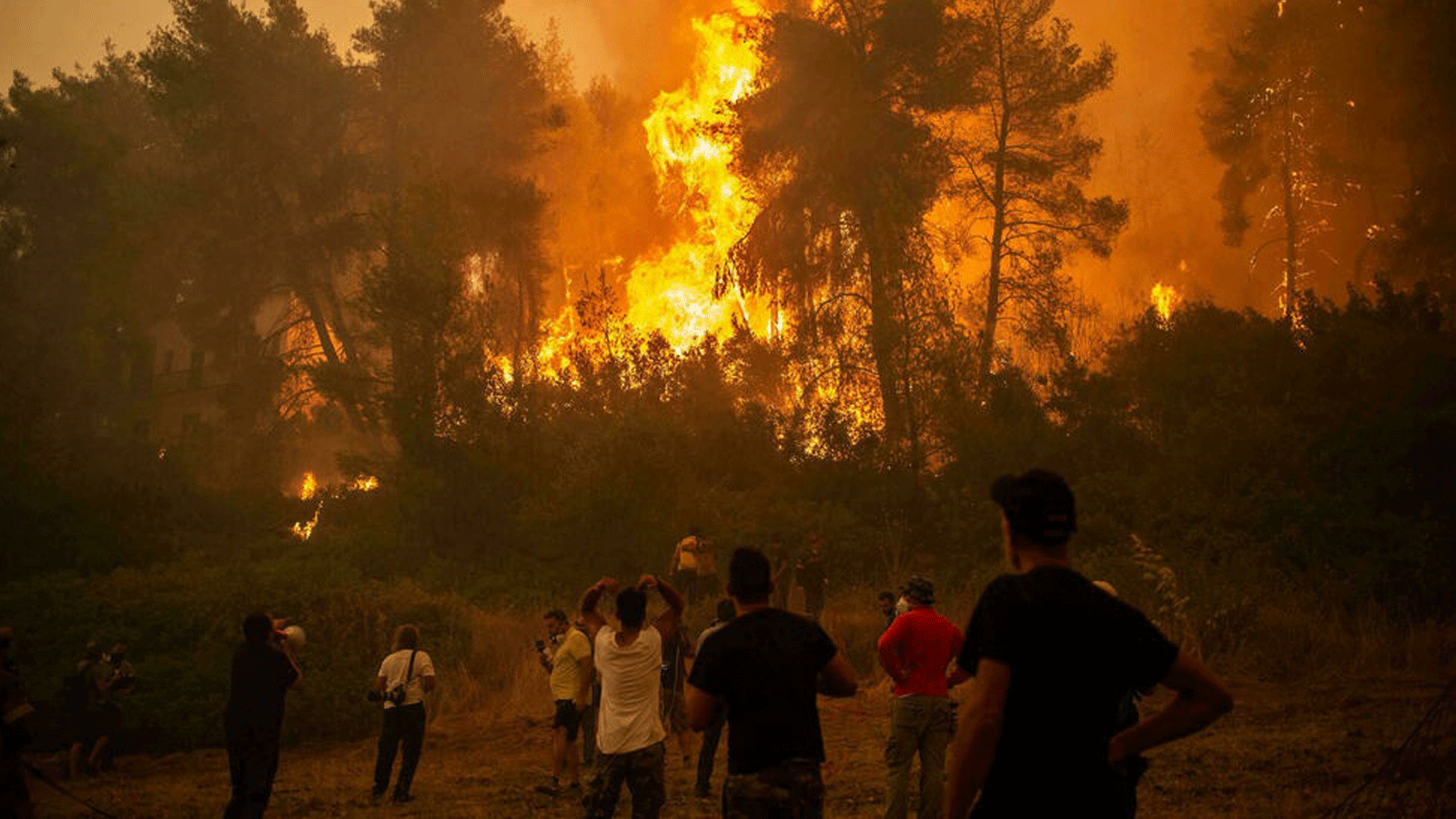 حريق غابات كبير يقترب من قرية بيفكي في إيفيا، ثاني أكبر جزيرة في اليونان