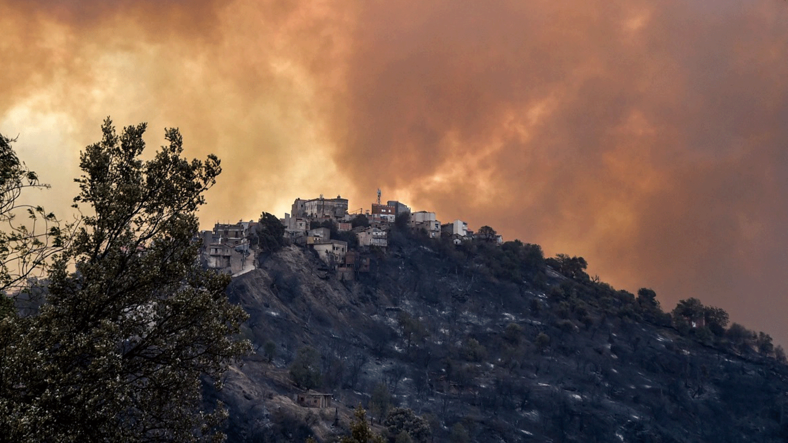 دخان يتصاعد من حريق غابات في التلال الحرجية بمنطقة القبائل شرقي العاصمة الجزائر