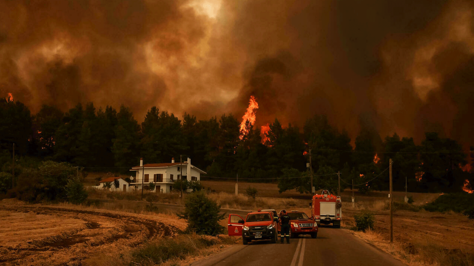 حرائق الغابات تلتهم المنازل في جزيرة إيفيا اليونانية
