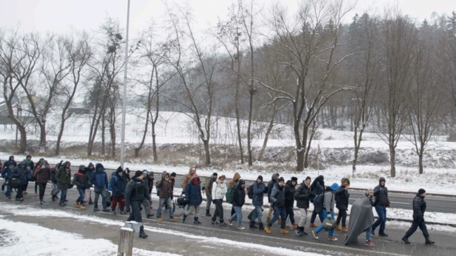 لاجئون ومهاجرون يسيرون لعبور الحدود السلوفينية-النمساوية في 5 يناير 2016 في سينتيلي