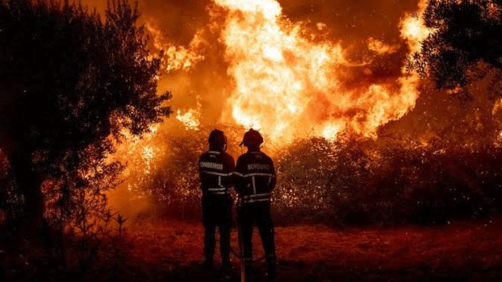 صورة لحرائق الغابات نشرها مغرّد عبر تويتر على صفحة بعنوان Yash بتاريخ 14 آب/أغسطس 2021