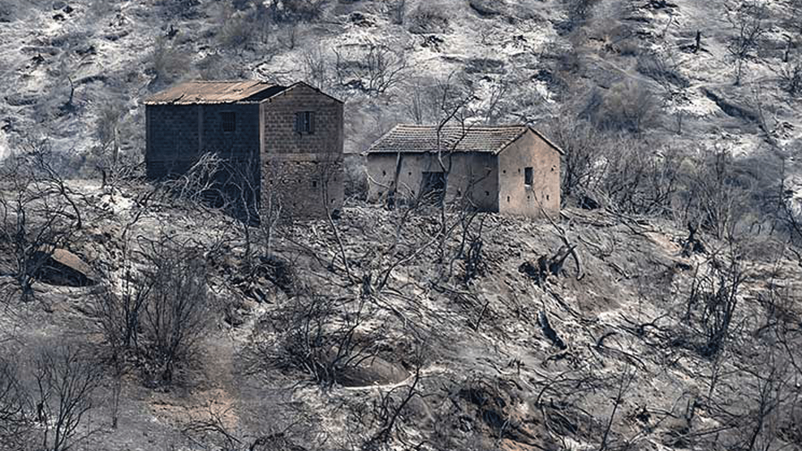 منازل محترقة تقف وسط الأشجار المتفحمة ، بعد حريق غابات في تلال غابات منطقة القبائل بالجزائر.