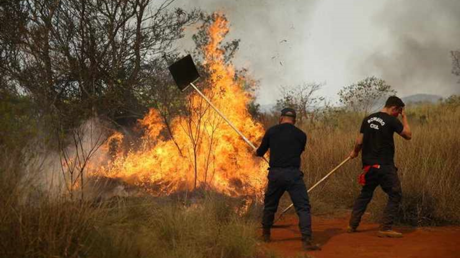 عناصر الإطفاء يشاركون في مكافحة الحريق في بارك جوكري، المحمية الطبيعية الواقعة على بُعد حوالى 50 كلم من مدينة ساو باولو. بتاريخ 23 آب/ أغسطس 2021