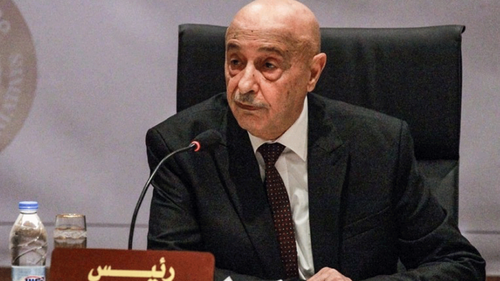 رئيس مجلس النواب الليبي عقيلة صالح(أرشيفية)