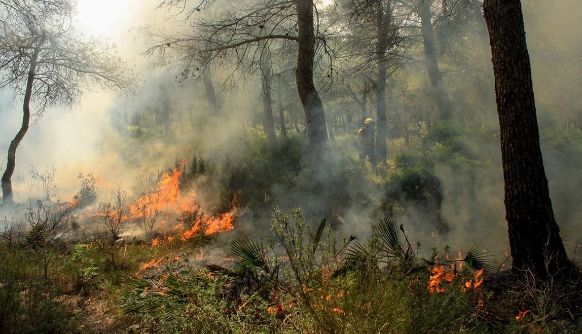 من صور حرائق الغابات في جنوب اسبانيا