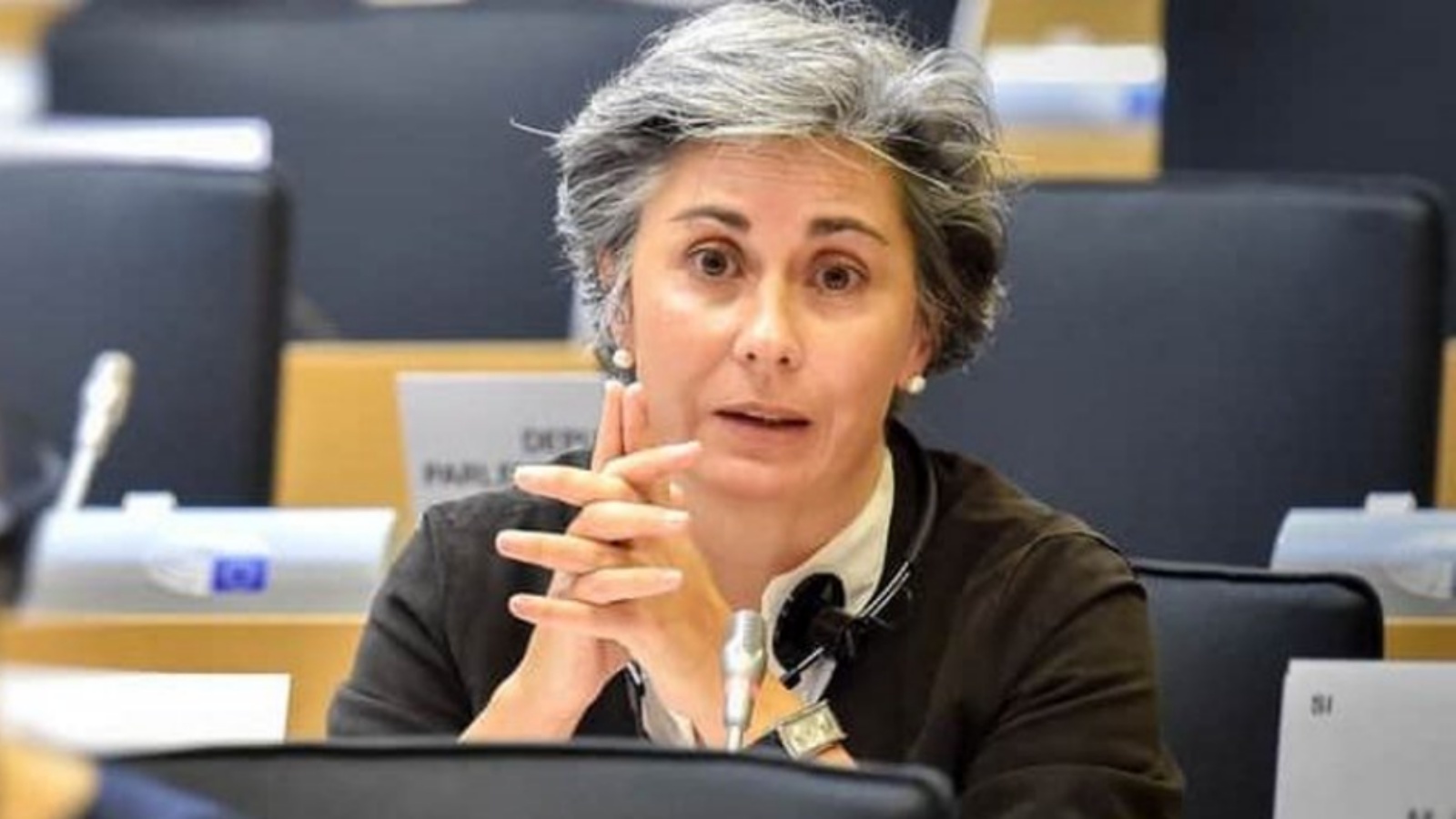 رئيسة البعثة النائبة الأوروبية البرتغالية إيزابيل سانتوس. (عن صفحتها في تويتر)