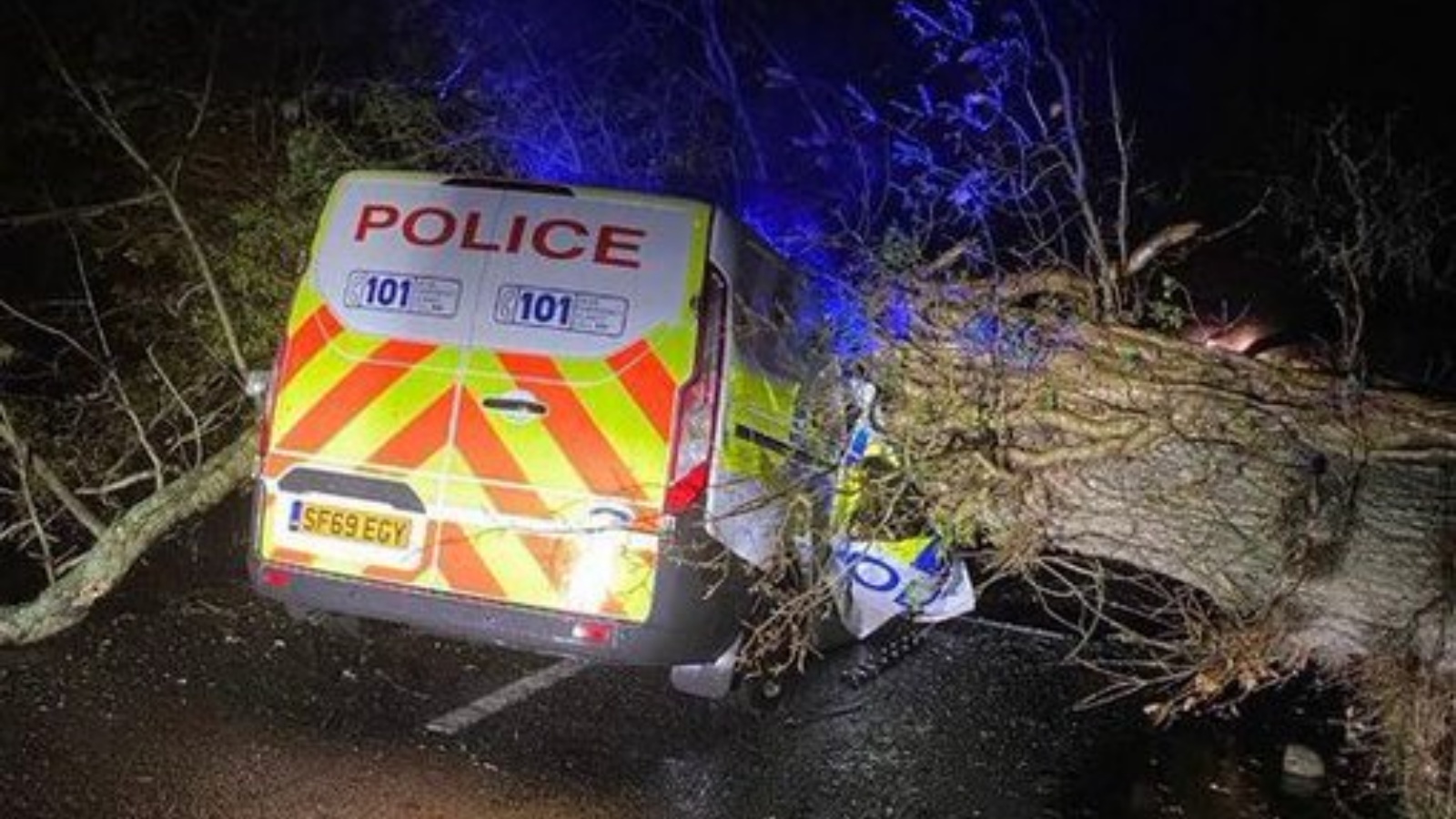 شجرة سقطت على سيارة تابعة للشرطة في شمال المملكة المتحدة. في 26 تشرين الثاني/نوفمبر 2021 (من حساب THE BLACK SALTIRE#FBSI في تويتر)