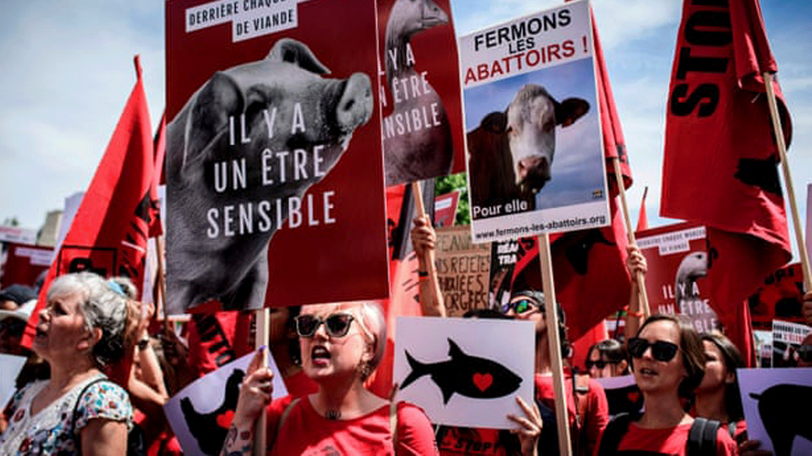 متظاهرون من أجل حقوق الحيوان في باريس. في حزيران/ يونيو 2018