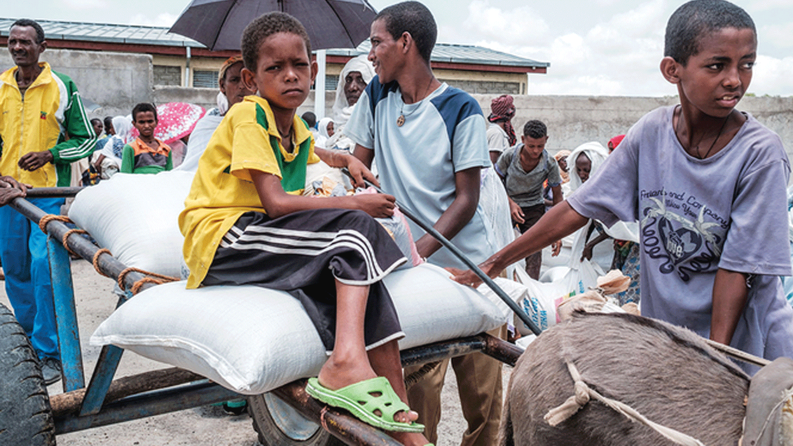 أطفال ينتظرون بجوار أكياس قمح عند نقطة توزيع أغذية بالقرب من قرية بيكر، على بعد 50 كيلومترًا جنوب شرق حميرة، في منطقة تيغراي في إثيوبيا.