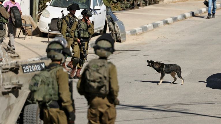 جنود إسرائيليون خلال تحقيقات بشأن عمليات تخريب طالت ممتلكات لفلسطينيين ويعتقد أن مستوطنين إسرائيليين قاموا بها في الضفة الغربية بتاريخ 9 نوفمبر 2021 