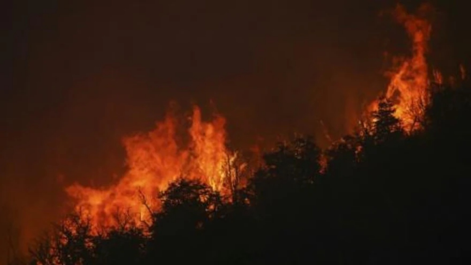 حريق هائل على بعد 60 كلم جنوب مدينة باريلوتشي في محافظة ريو نيغرو في الأرجنتين في 13 كانون الثاني/يناير 2022 