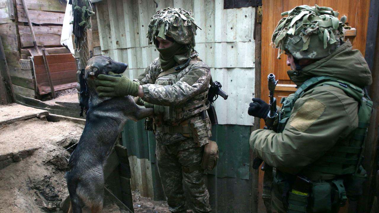 جندي أوكراني يداعب كلبًا في خندق على خط المواجهة مع الانفصاليين قرب أفدييفكا في دونيتسك جنوب شرق أوكرانيا في 9 كانون الثاني/يناير 2022